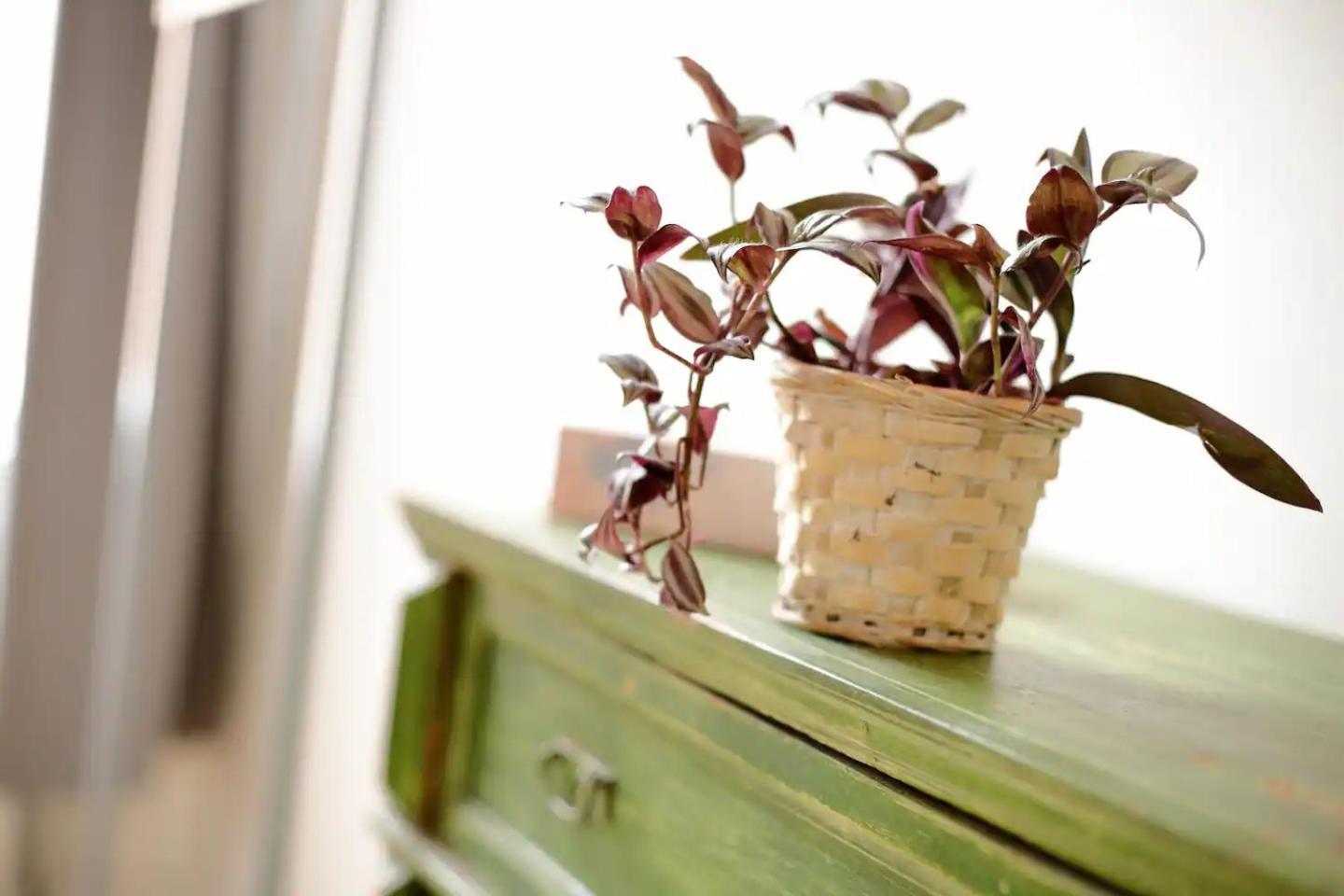 Budapestayz - Izabella Studios Extérieur photo
